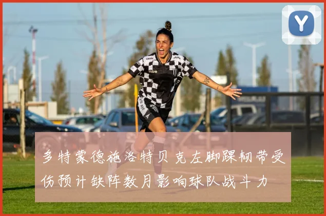 多特蒙德施洛特贝克左脚踝韧带受伤预计缺阵数月影响球队战斗力