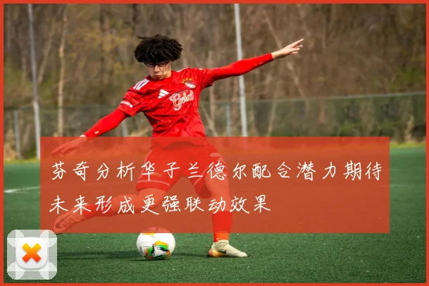 芬奇分析华子兰德尔配合潜力期待未来形成更强联动效果