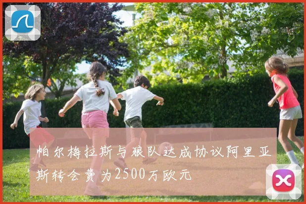 帕尔梅拉斯与狼队达成协议阿里亚斯转会费为2500万欧元