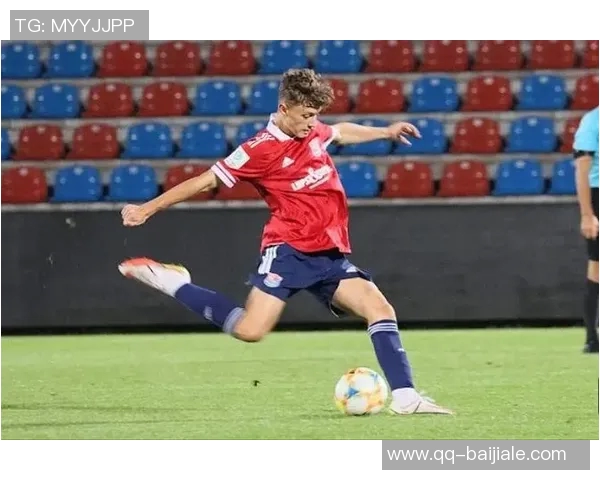 拜仁获批收购翁特哈兴体育公园将作为女足新主场使用